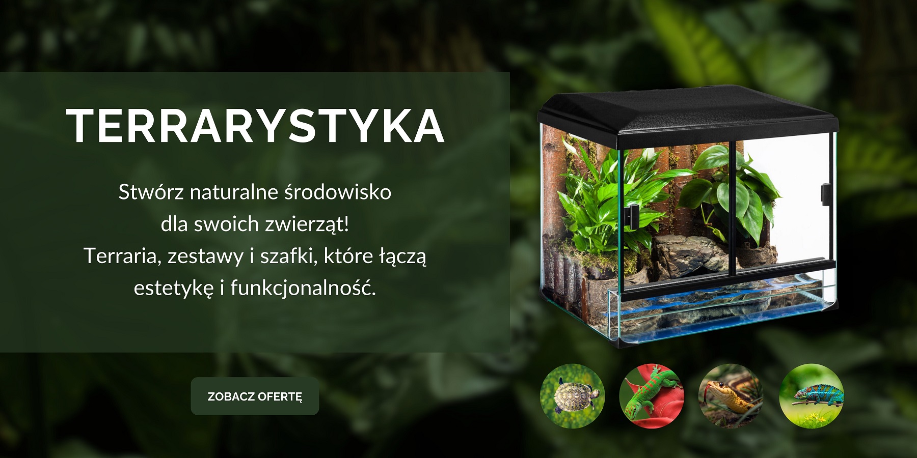 Terrarystyka