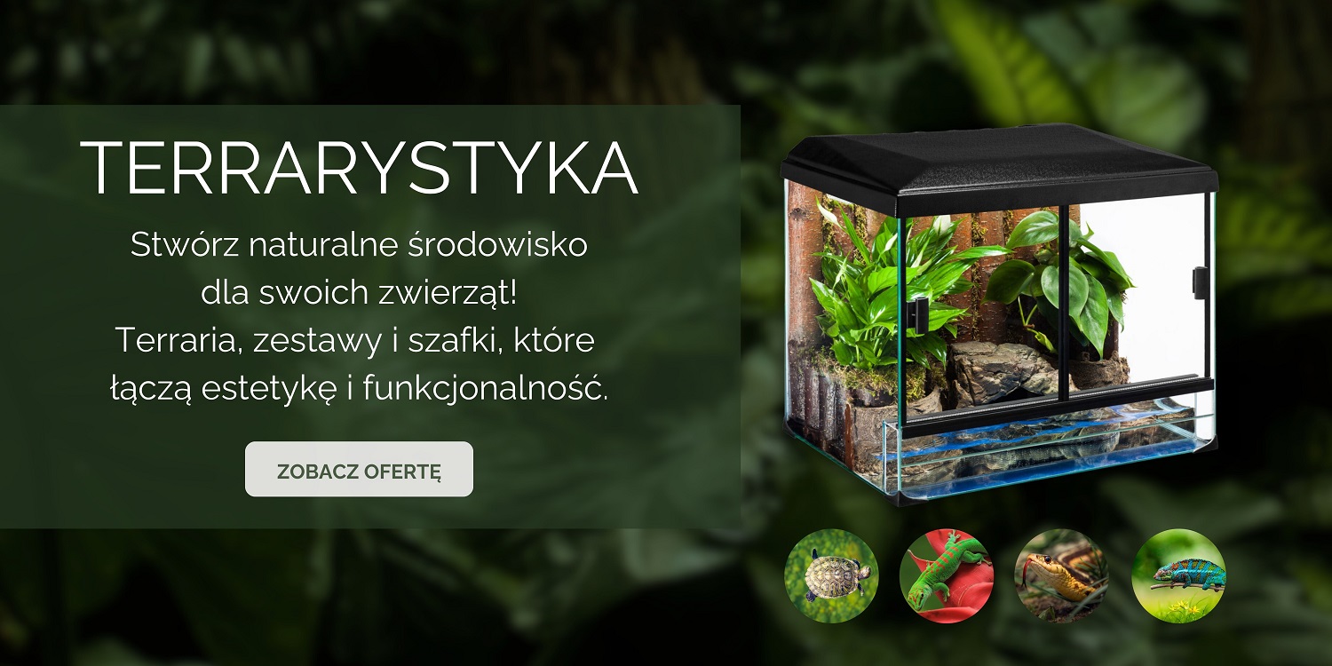 Terrarystyka