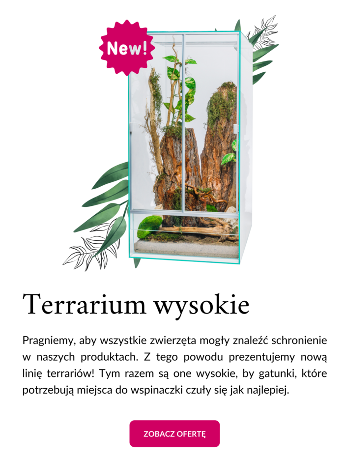 terrarium