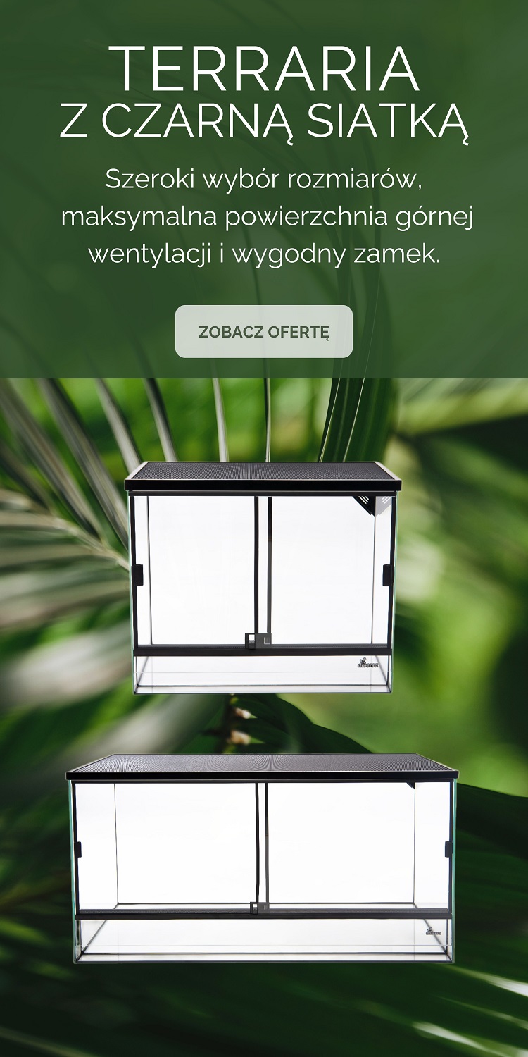 Terraria z czarną siatką