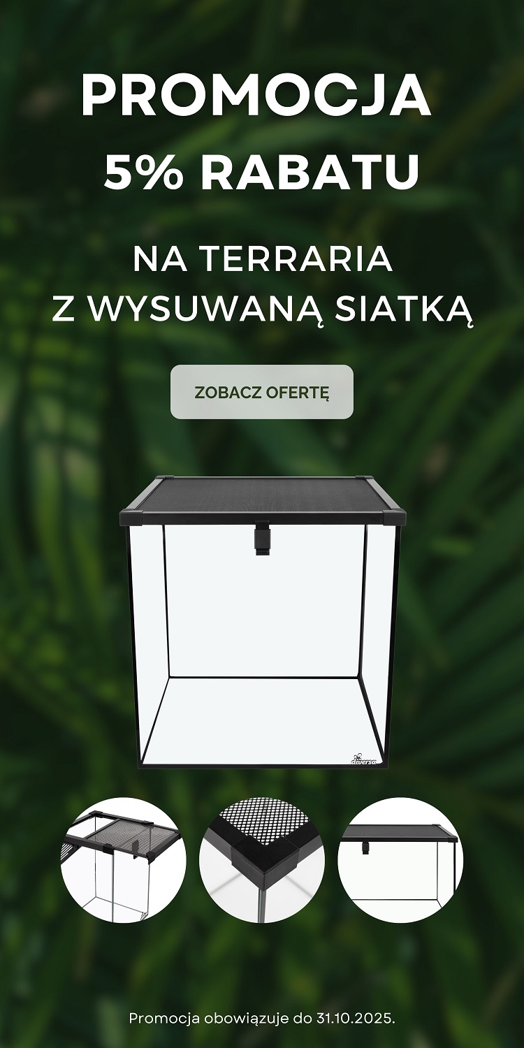 Terrarium z wusuwaną siatką