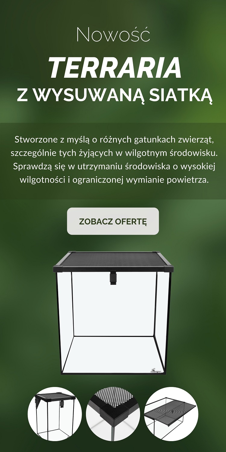 Terrarium z wusuwaną siatką