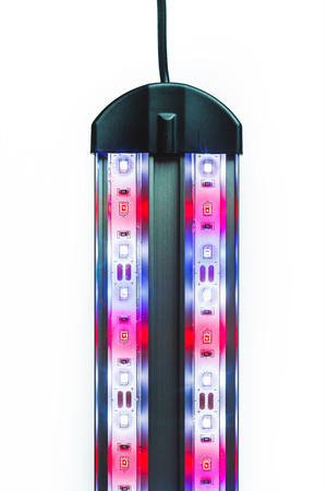 Oświetlenie lampka LED Intenso 4,9W 25cm KOLOR