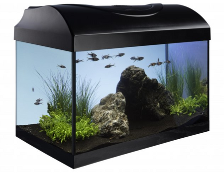 Zestaw akwarystyczny, startowy dla początkujących 54l Startup 60x30x30  LED Expert 10W z filtrem wewnętrznym Claro 600 i grzałką z regulacją 50W