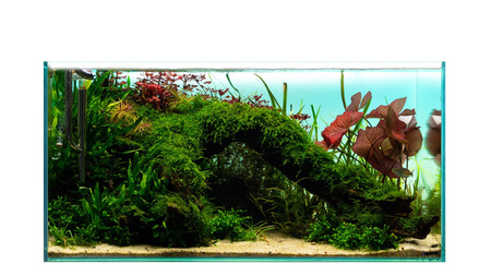 TŁO BACKLIGHT BIAŁE 80x40