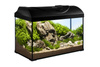 Zestaw akwarystyczny, startowy dla początkujących 37,5l Startup 50x25x30  LED Expert 10W z filtrem wewnętrznym Claro 300 i grzałką z regulacją 50W