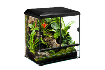 Zestaw terrarium 18,75l  TERRASET FOREST 30x25x35 z wyposażeniem