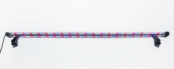 Oświetlenie lampka LED Intenso 12,8W 60cm KOLOR