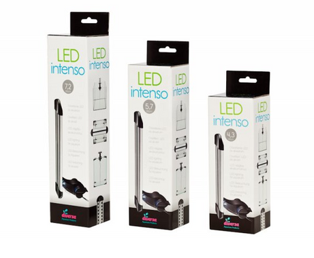 Zestaw akwarystyczny, startowy dla początkujących 31,5l NEO LIGHT 30 z LED Intenso 6,7W oraz dodatkowym oświetleniem nocnym, filtrem wewnętrznym Claro 300 i grzałką z regulacją 25W