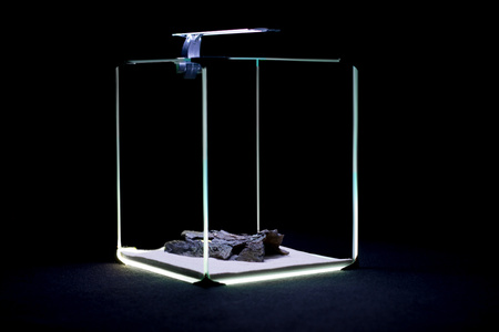 Zestaw akwarystyczny, startowy dla początkujących 31,5l NEO LIGHT 30 czarne tło, LED Intenso 6,7W oraz dodatkowym oświetleniem nocnym, filtrem wewnętrznym Claro 300 i grzałką z regulacją 25W