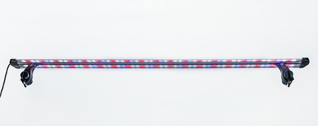 Oświetlenie lampka LED Intenso 12,8W 60cm KOLOR