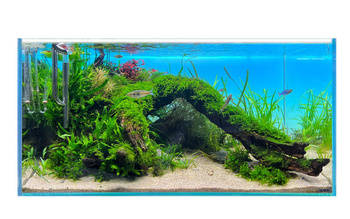 Tło BACKLIGHT RGB 120x50