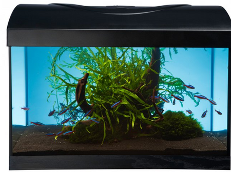 Zestaw akwarystyczny, startowy dla początkujących 25l Startup 40x25x25 LED Expert 4,8W z filtrem wewnętrznym Claro 300 i grzałką z regulacją 25W