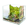 Paludarium 40 Optiwhite