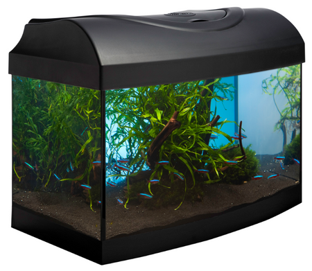 Zestaw akwarystyczny, startowy, profilowany z szybą giętą dla początkujących 54l Startup 60x30x30  LED Expert 10W z filtrem wewnętrznym Claro 600 i grzałką z regulacją 50W
