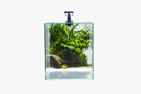 Zestaw akwarystyczny, startowy dla początkujących 31,5l NEO LIGHT 30 z LED Intenso 6,7W oraz dodatkowym oświetleniem nocnym, filtrem wewnętrznym Claro 300 i grzałką z regulacją 25W