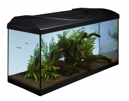 Zestaw akwarystyczny, startowy dla początkujących 112l Startup 80x35x40  LED Expert 16W z filtrem wewnętrznym Claro 1000 i grzałką z regulacją 100W