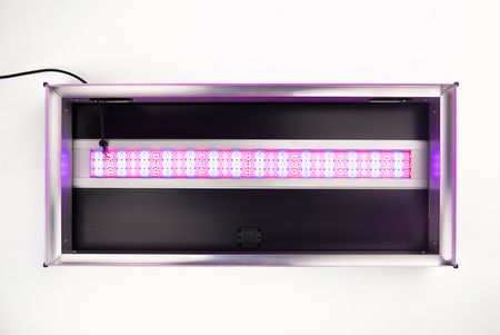 Zestaw akwarystyczny Solid 80x35 z oświetleniem LED Alex Kolor