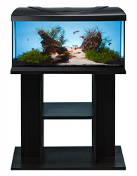 Zestaw akwarystyczny Budget 80x35 z oświetleniem LED Expert